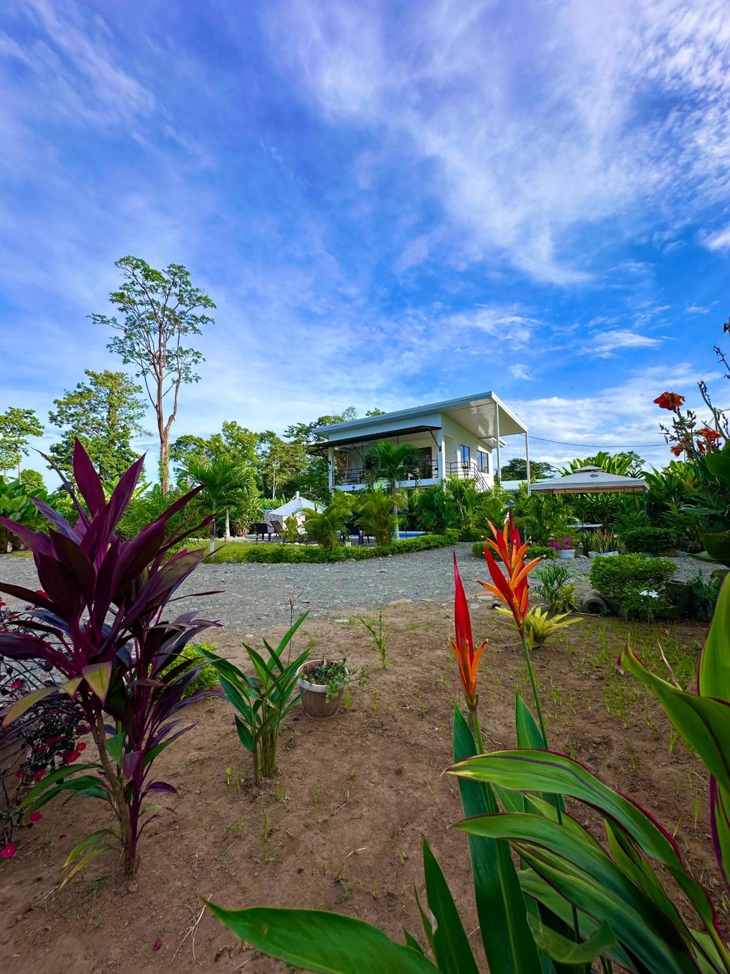 Oso Perezoso Pool Villa Puerto Viejo de Talamanca Exterior foto